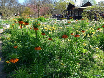 Planten un Blomen Hamburg / Весна в парке цветов
Альбом «Гамбург. Парки": http://fotokto.ru/id156888/photo?album=75053# Альбом «Пейзаж»: http://fotokto.ru/id156888/photo?album=76852
Слайд-шоу "Парк цветов летом"
https://www.youtube.com/watch?v=glVWjqRqZr0
Слайд-шоу "Парк цветов весной"
https://www.youtube.com/watch?v=kJVKlWcQxCg
Слайд-шоу "Парк цветов осенью"
https://www.youtube.com/watch?v=_Q7gRXGUa5A