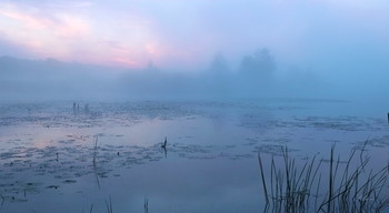 Перед восходом. / Утренний туман на озере Сосновое.