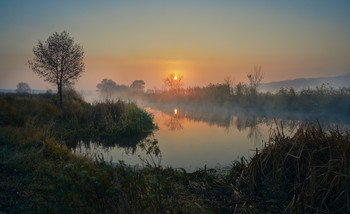 Солнце вставало, туман разгоняло... / река Северский Донец. Осень 2019