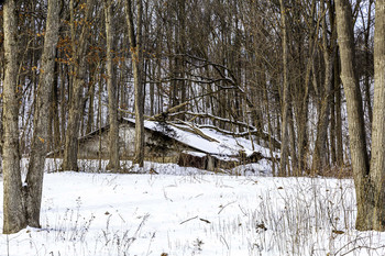 &nbsp; / This abandoned sugar shack looks cool in the bush