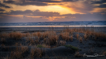  / Evening sunset along the Pacific Ocean in Ocean Shores, Washington