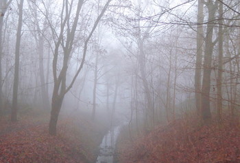 Белый туман / &quot;Не слышно ни ветра дыханья,
Ни плеска сокрытой реки.
И только тумана касанье,
Прохладной и влажной руки…&quot;
