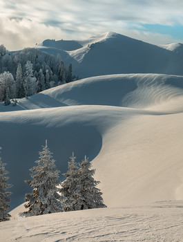 Гора Мамдзышха / В горах Абхазии. Лаконичные, плавные линии зимы. 
Фотопроект «Сказочная Абхазия».