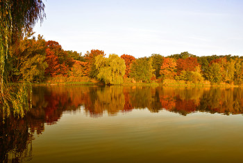 &nbsp; / Spiegelbilder haben etwas faszinierendes an sich und im Herbst gefallen sie mir am Besten