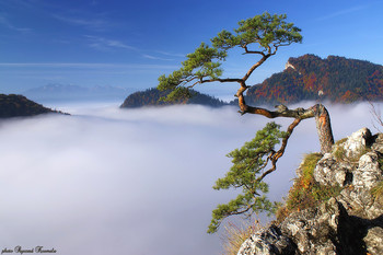 &nbsp; / Pieniny mountains - Poland. 
Thanks for your visit, recommendations and comments