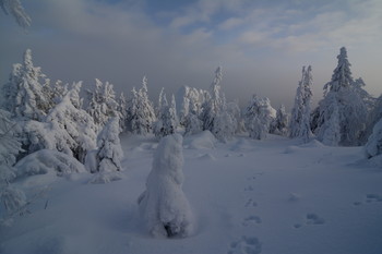 &nbsp; / Зимний сказочный лес.