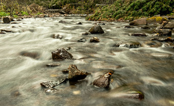 Таёжная река... / Природа.