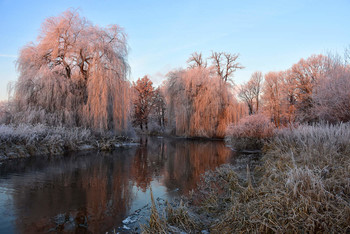 &nbsp; / Wieder ein schöner Wintermorgen an der ruhigen Aller. So ein tolles Wetter musste man ausnutzen, um euch die Schönheit dieser Natur zu zeigen, ich hoffe es gefällt euch !
