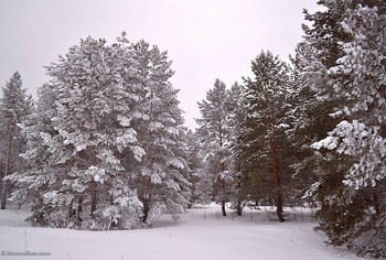 После бурана / ...