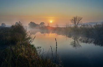 Утренние "побродилки" вдоль реки / река Северский Донец. Осень 2019