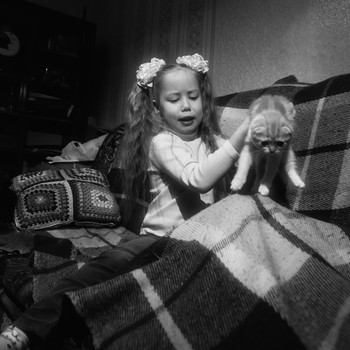 Непослушный котёнок / модель Вика Ратникова
котята из питомника «Prosperity» Татьяны Байцевой