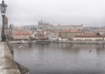 Прага / Такая вот зима