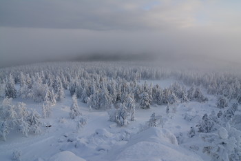 Туман отступает. / Качканар. Зима. Утренний туман отступает, открывая красоту зимнего леса.