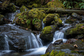  / Waterfall in the Olympic National Park