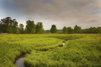 &nbsp; / Июнь 6.56