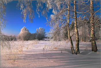 В январе... / .....