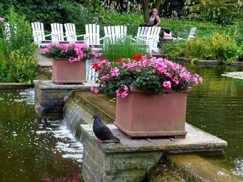 Planten un Blomen Hamburg / &quot;Парки&quot;: http://fotokto.ru/id156888/photo?album=75053# «Пейзаж»: http://fotokto.ru/id156888/photo?album=76852
этюды»: http://fotokto.ru/id156888/photo?album=66289 «Цветы»: http://fotokto.ru/id156888/photo?album=63914
Слайд-шоу &quot;Парк цветов летом&quot;

https://www.youtube.com/watch?v=glVWjqRqZr0

Слайд-шоу &quot;Парк цветов весной&quot;

https://www.youtube.com/watch?v=kJVKlWcQxCg

Слайд-шоу &quot;Парк цветов осенью&quot;

https://www.youtube.com/watch?v=_Q7gRXGUa5A