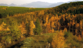 Осенняя пора... / на сопках