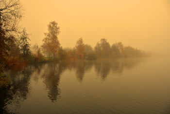 &nbsp; / Der Nebel war morgens noch ganz schön dick, das machte meine Herbstbilder atemberaubend schön