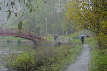 осенний парк / осень, Москва, Свиблово