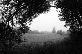 Утром на поляне. / Туманы августа.