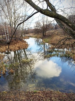 &nbsp; / зимний-незимний пейзаж