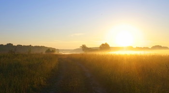 Утро в поле у реки. / Летний рассвет в поле.