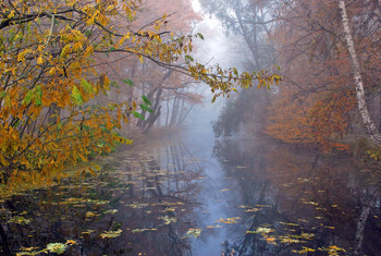 &nbsp; / Im herbstlichen Nebel sah der Fluß richtig romantisch aus, die Farben ispirierten mich für dieses Bild