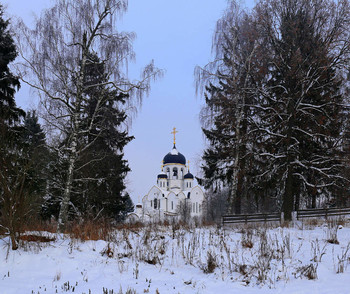 Воскресенское / Церковь Воскресения Христова в Воскресенском