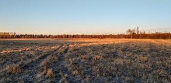 ФЕВРАЛЬСКИЙ ДЕНЬ / Февральский день, а у окна,
Термометр, солнышком согретый.
А на термометре весна,
И никакого нет секрета,
Что за окном всего плюс пять,
И к вечеру похолодает.
В душе такая благодать,
Никто себе не представляет.