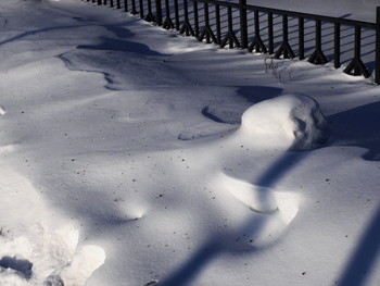 Грустный февраль / 2019-02-20-40-C0-100(81)