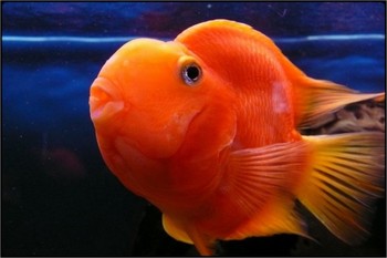 &nbsp; / through glass :))