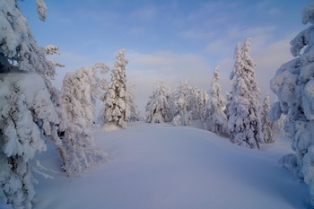 В зимнем лесу. / Зимний лес на Среднем Урале.