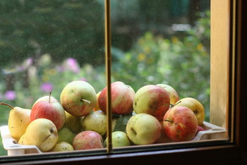 Память об осени / Память об осени