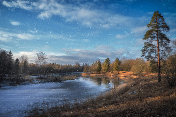  / February in the Park. Leningrad region. Russia.