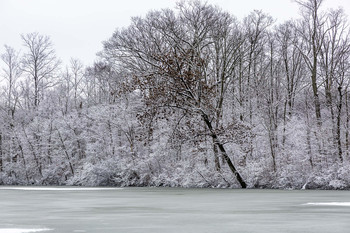 &nbsp; / This beautiful winters scene of snow on the trees and ice covering the lake was Magnificent