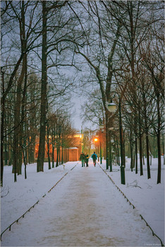Вечер в зимнем парке / ***