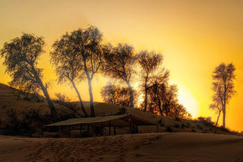 Пустыня. Солнце устало / ОАЭ. Январь 2020