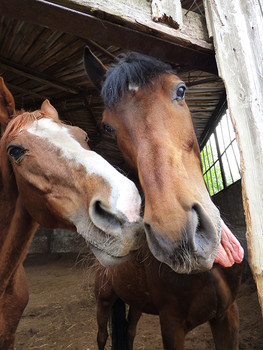 Влюблённая пятница / ***