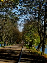 Несвижский парк / Возле замка Радивилов в Несвиже