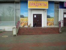 Трое. / Случайное фото в Минске .