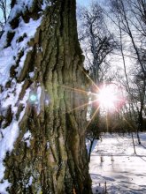 солнце / у нас сейчас красиво