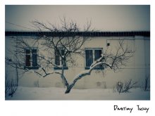 Три в одном 2... / http://did-e.livejournal.com/
Мой любимый снимок!!!