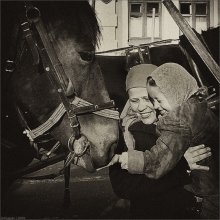 * * * * * / ...лошадка и счастливая девочка с мамой