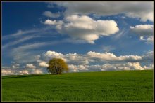 Вечереет / Летняя