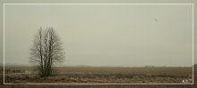Позднее / ******