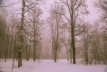 зимний туман / ...