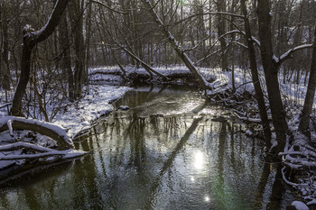 &nbsp; / The sun was glistening off the creek this winters day