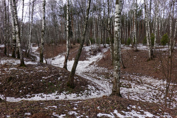 Дыхание весны / На стыке сезонов