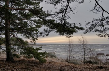 хмурый февраль / Финский залив
